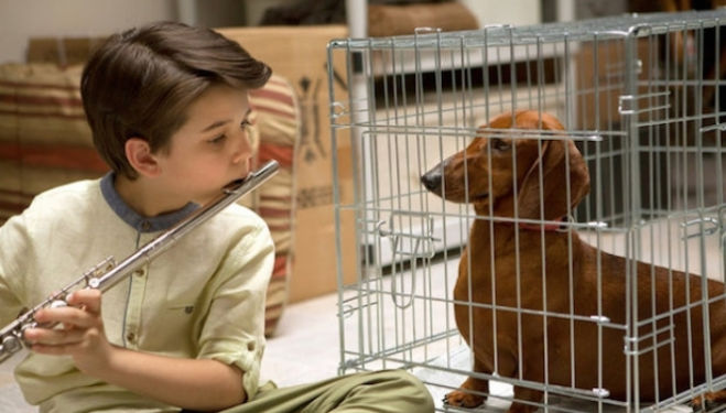 Wiener-Dog film review [STAR:4]