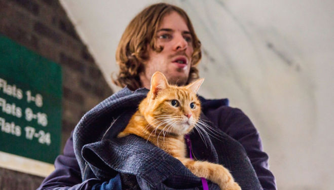 'Street cat' Bob becomes a film-star feline in this feel-good true story