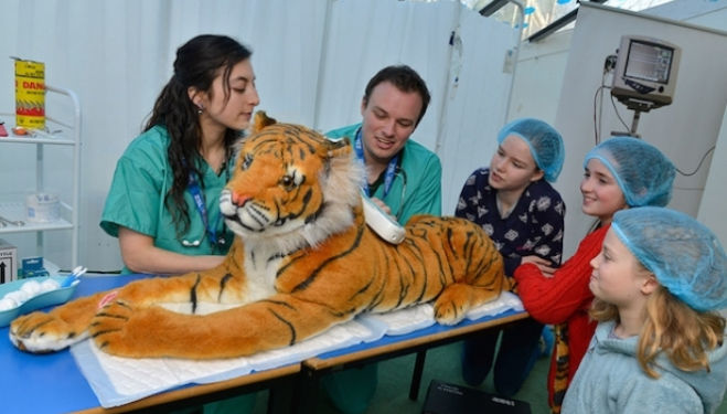Become a vet, London Zoo 