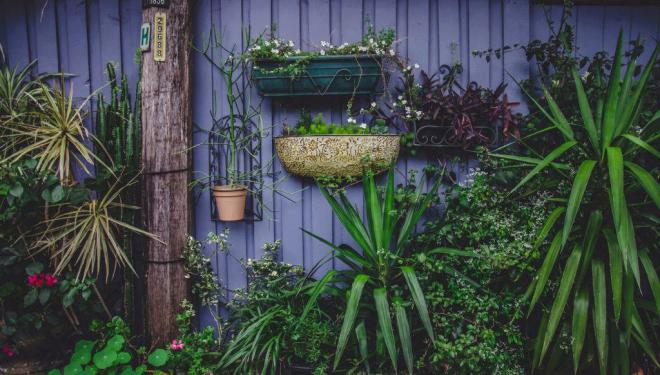 A practical guide to urban gardening