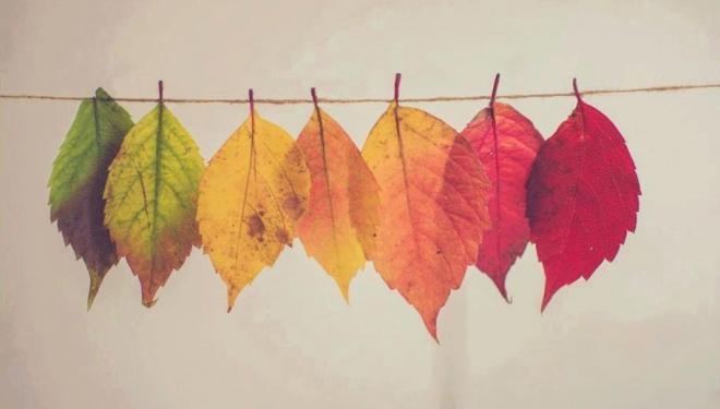 Your autumn checklist 