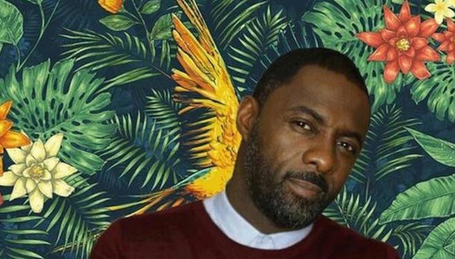 Idris Elba owns a cocktail bar: The Parrot