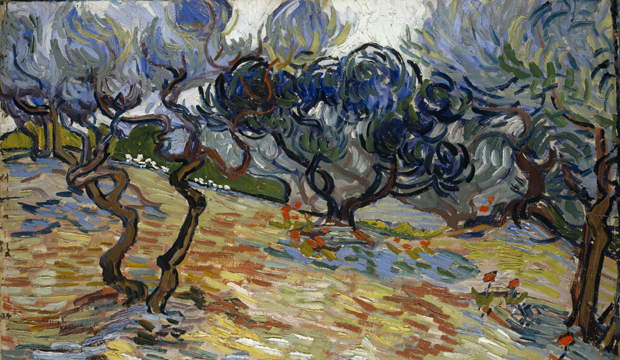 Van Gogh- Olive Trees. National Galleries of Scotland