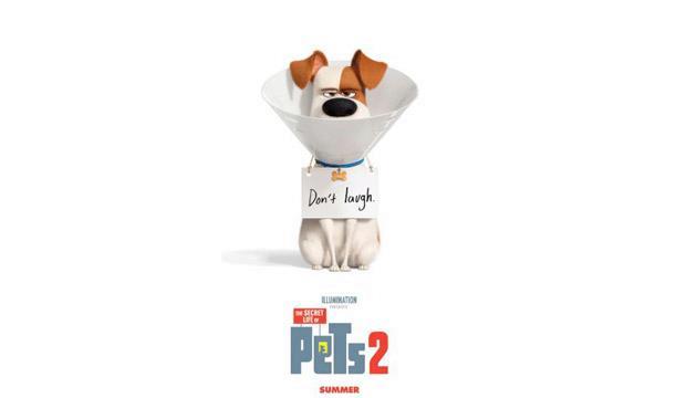The Secret Life of Pets 2 gets to grips with the emotional side of our favourite pets. Credit: Illumination