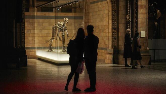 Halloween at the Natural History Museum 