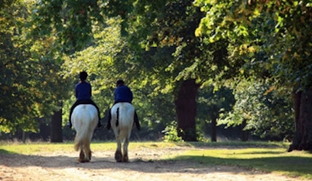 Hyde Park Stables, Horse Riding in Central London