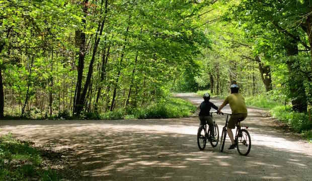 Cycle through Epping Forest 