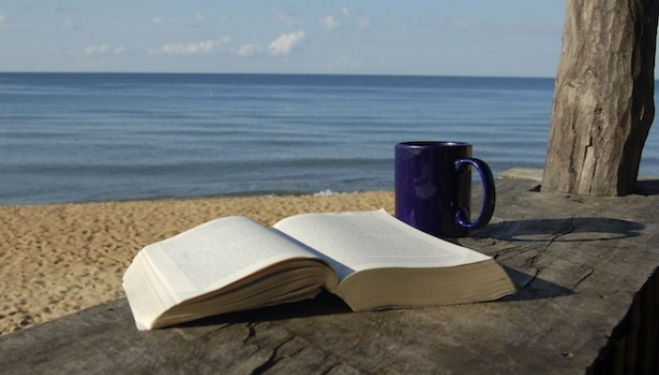Summer Reading: The Best Beach Books 2015