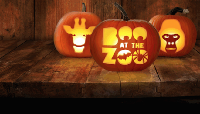 Boo at the Zoo, Halloween at London Zoo 
