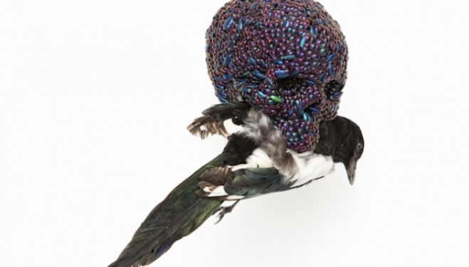 Jan Fabre, Skull with Magpie, 2001, mixture of jewel beetle wing-cases, polymers, stuffed bird, 39 x 23 x 34 cm, photo by Claudio Abate, photo courtesy the artist and Ronchini Gallery
