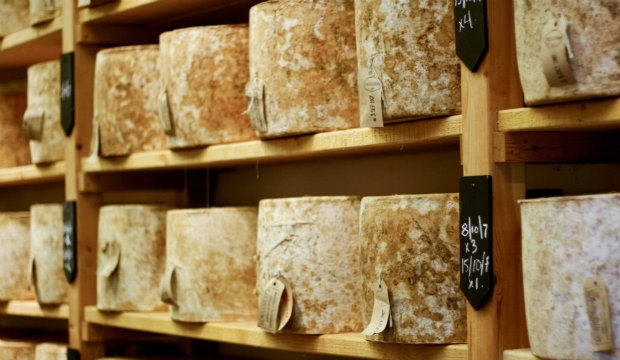 Cheesy: Neal's Yard Dairy annual cheese subscription 