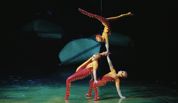 Ovo: Cirque du Soleil, Royal Albert Hall