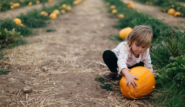 Best pumpkin patch for pumpkin lovers: Secretts