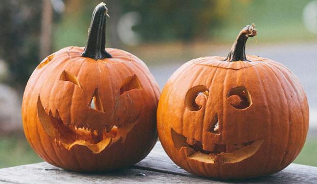  Best pumpkin patch for Halloween celebrations: Priory Farm