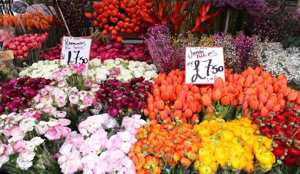 Columbia Road Flower Market, Bethnal Green 