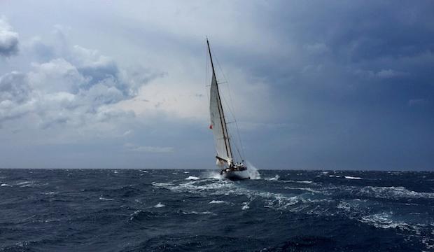 ​The Clipper Round the World Yacht Race, Global