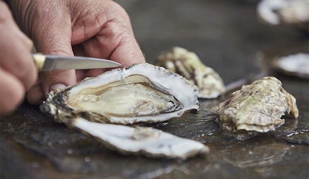 Shuck oysters like a pro at Wright Brothers