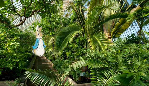 Peter Rabbit at Kew Gardens