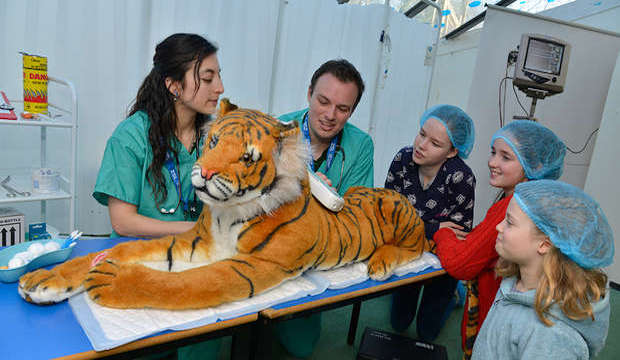 Vets in Action, ZSL London Zoo, February half-term 2018