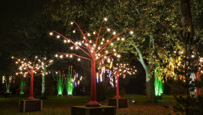 Illuminating scenes at Kew gardens