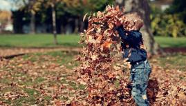 Back to school: best things to do with children this autumn 