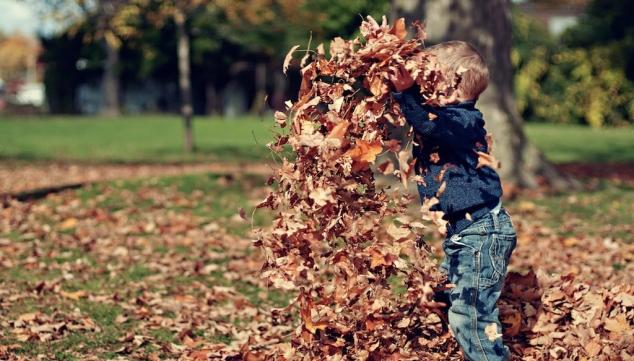 Back to school: best things to do with children this autumn 