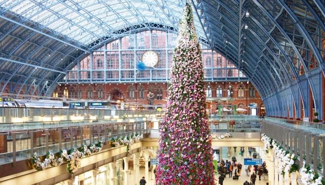 Who has the classiest Christmas tree display in London?