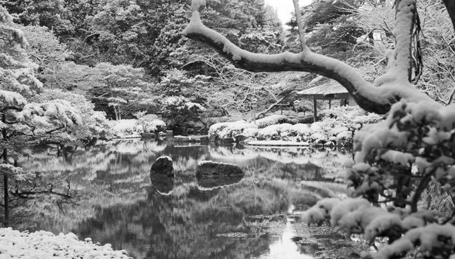 Kyoto Garden, Holland Park 