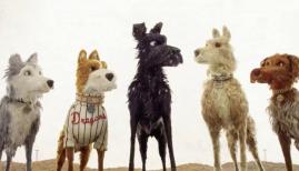 Wes Anderson Isle of Dogs exhibition, The Store