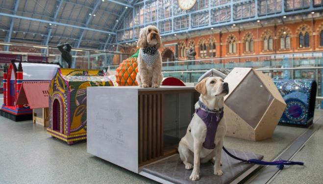 Barkitecture takes over the capital this spring