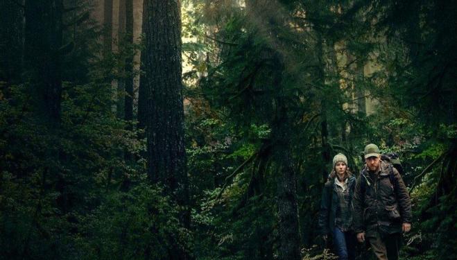 Leave No Trace: 'a dreamcatcher of a film'