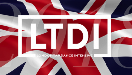 LTDI2018 Flag Logo