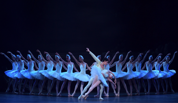 English National Ballet in Swan Lake, photo Laurent Liotardo