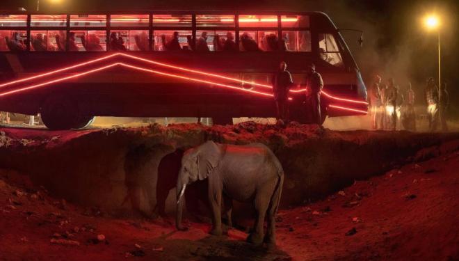 Nick Brandt, 'Bus Station with Elephant & Red Bus' (2018) (c) Nick Brandt & Atlas Gallery