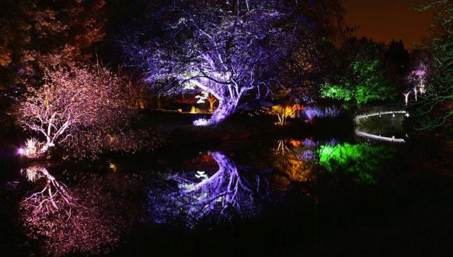 The Enchanted Woodland at Syon Park 