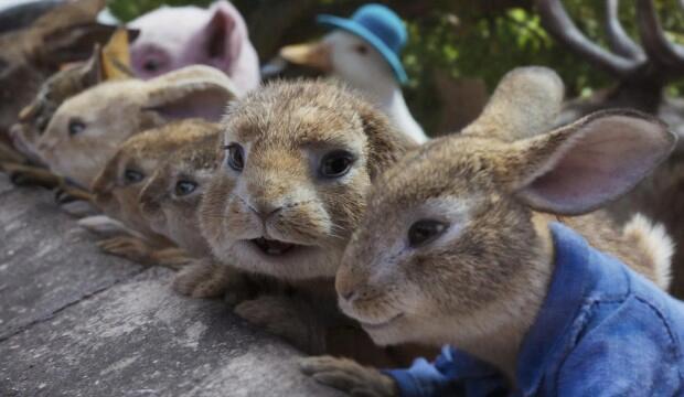 Peter Rabbit 2 (Photo: PA Media/Sony Pictures Releasing)