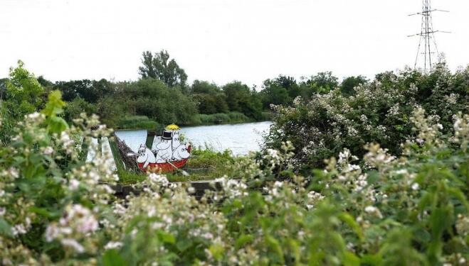 The Woman Who Fell in Love with an Island, Walthamstow Wetlands