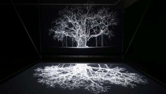 Mat Collishaw melds nature with technology at Kew Gardens