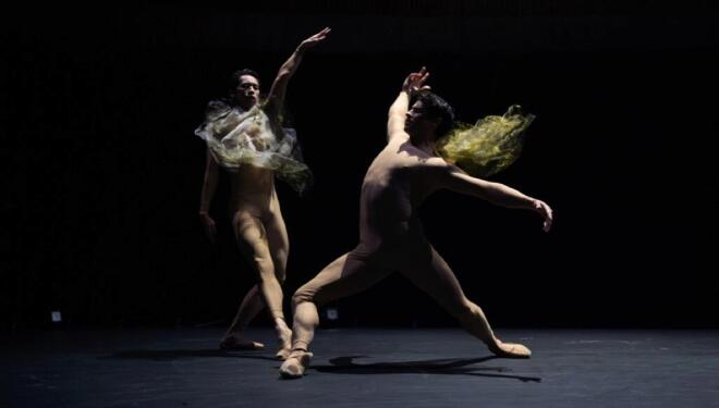 Festival of New Choreography at the ROH