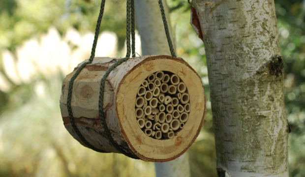Accessories that help save the bees 