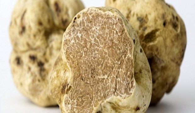 Where white truffles come at cost price: Quo Vadis