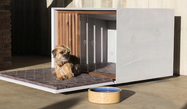 Doggle Box kennel by DLM Architects
