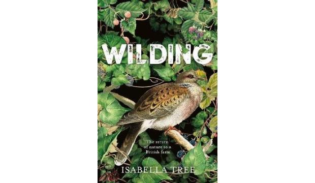 Wilding by Isabella Tree
