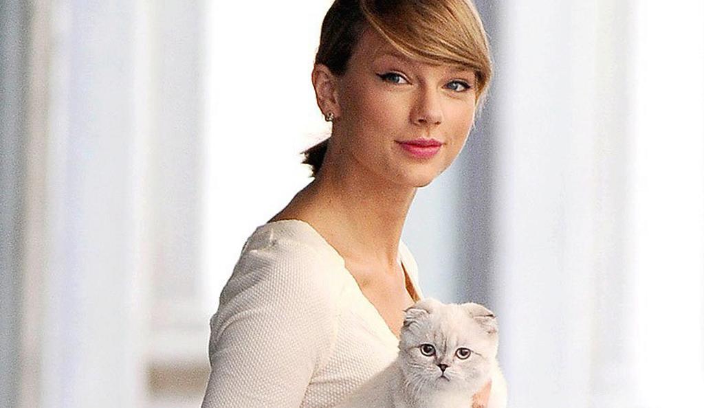 Taylor Swift, future cat, with Olivia, present-day Cat