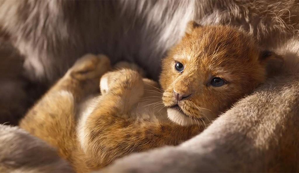 The Lion King: Jon Favreau, Beyoncé, Donald Glover