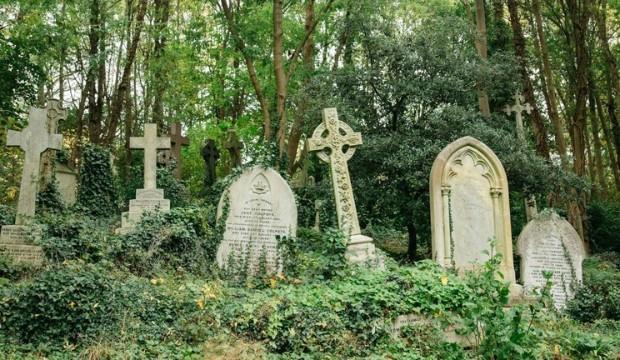 Highgate Cemetery tours