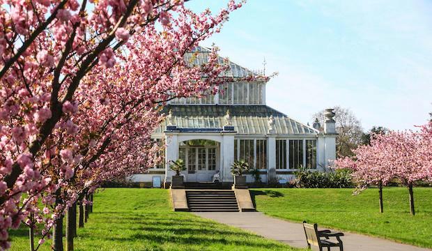 Revel in spring at Kew Gardens 