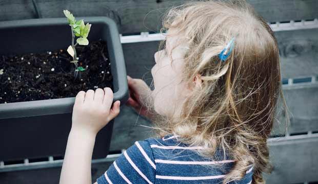 Gardening is a fun activity for the whole family - and one you can do at home. Photo: Jelleke Vanooteghem