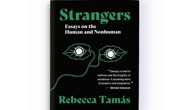 Strangers by Rebecca Tamás 