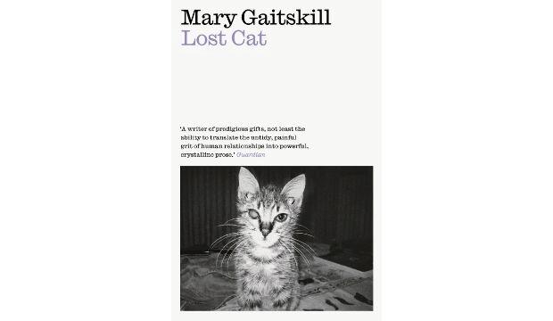 Lost Cat by Mary Gaitskill 